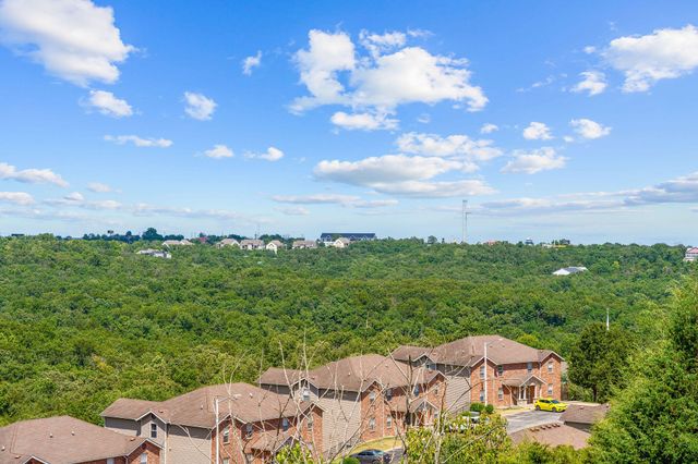 3009 N Vineyards Terrace 2, Branson, MO 65616