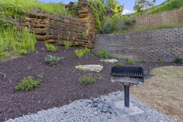 3009 N Vineyards Terrace 2, Branson, MO 65616