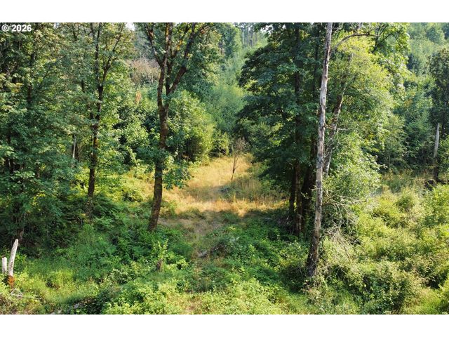 0 Nw Rock Creek Rd, Portland, OR 97231