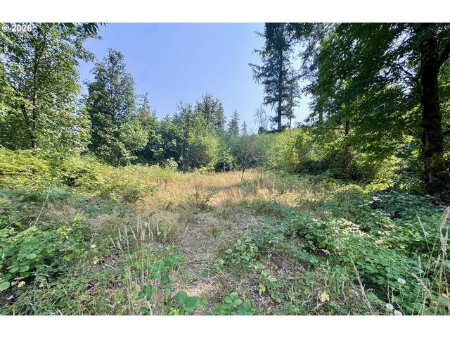 0 Nw Rock Creek Rd, Portland, OR 97231