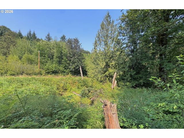 0 Nw Rock Creek Rd, Portland, OR 97231