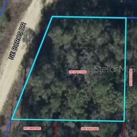 0 NE 11TH STREET, Williston, FL 32696