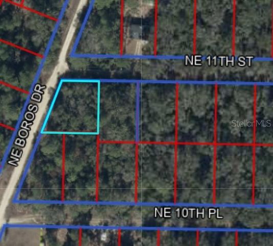0 NE 11TH STREET, Williston, FL 32696