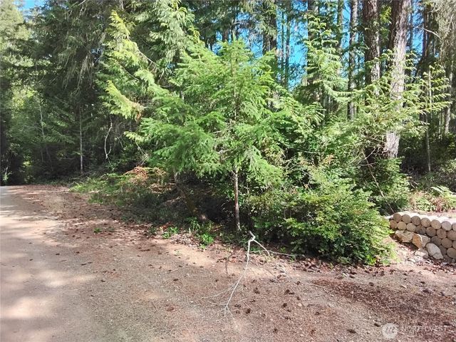0 E Frontier Road, Grapeview, WA 98546