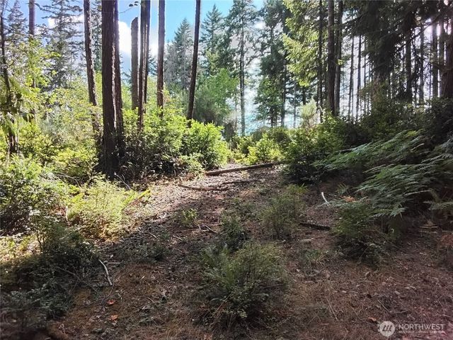 0 E Frontier Road, Grapeview, WA 98546