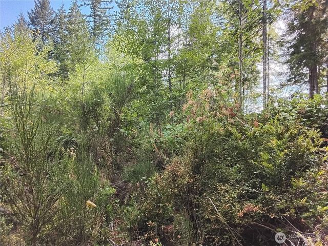 0 E Frontier Road, Grapeview, WA 98546