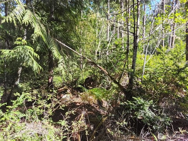 0 E Frontier Road, Grapeview, WA 98546