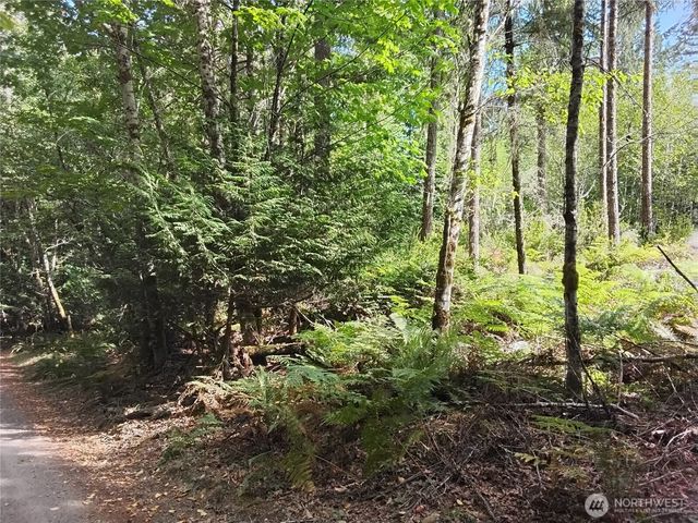 0 E Frontier Road, Grapeview, WA 98546