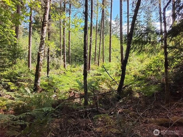 0 E Frontier Road, Grapeview, WA 98546