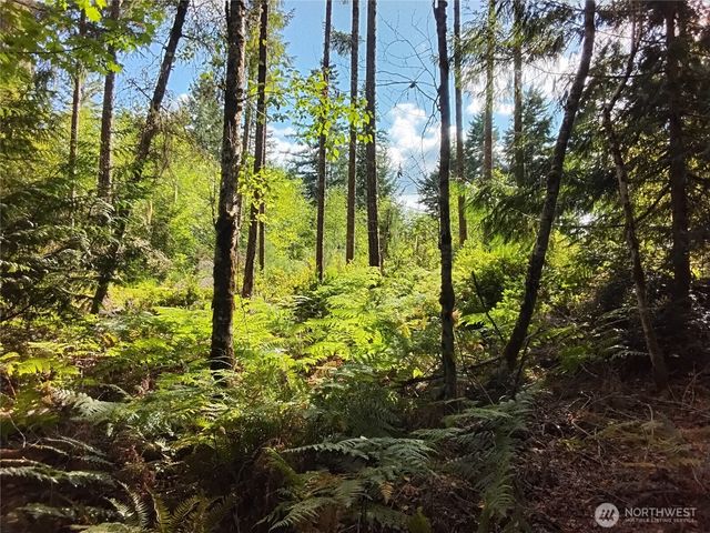 0 E Frontier Road, Grapeview, WA 98546