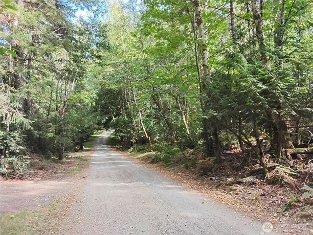 0 E Frontier Road, Grapeview, WA 98546