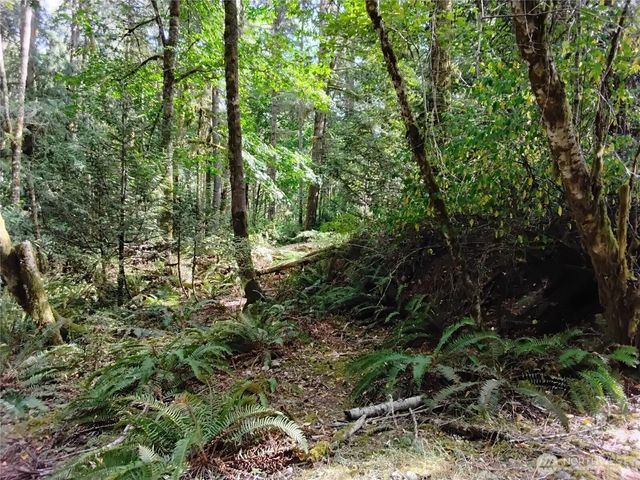 0 E Frontier Road, Grapeview, WA 98546