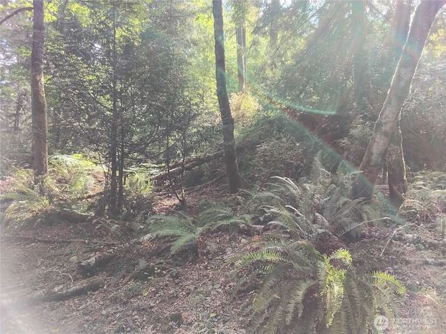 0 E Frontier Road, Grapeview, WA 98546