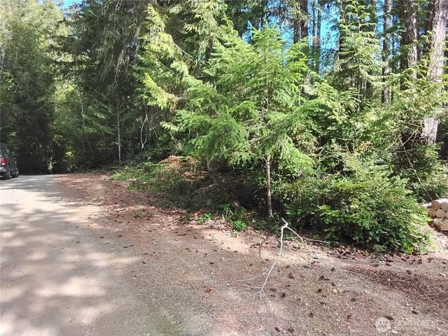 0 E Frontier Road, Grapeview, WA 98546