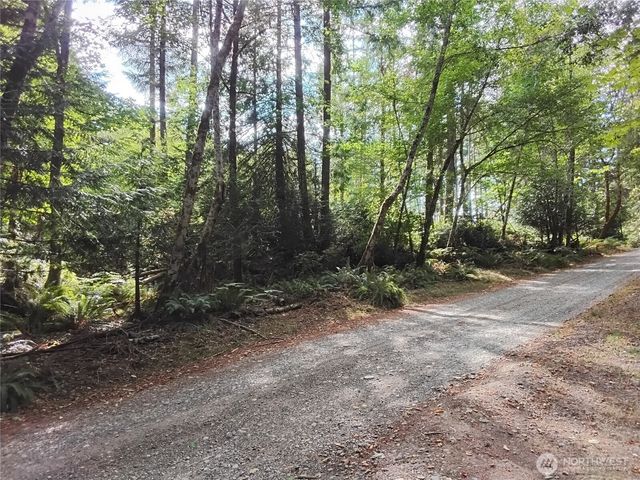 0 E Frontier Road, Grapeview, WA 98546