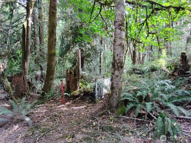 0 E Frontier Road, Grapeview, WA 98546