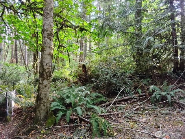 0 E Frontier Road, Grapeview, WA 98546