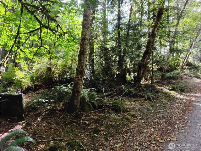 0 E Frontier Road, Grapeview, WA 98546