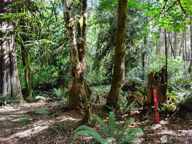 0 E Frontier Road, Grapeview, WA 98546