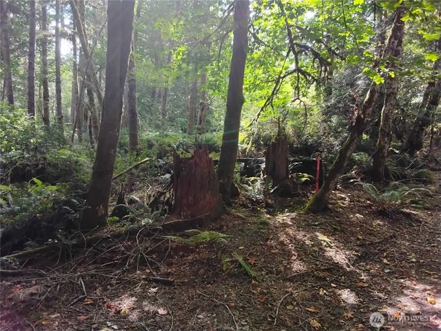 0 E Frontier Road, Grapeview, WA 98546