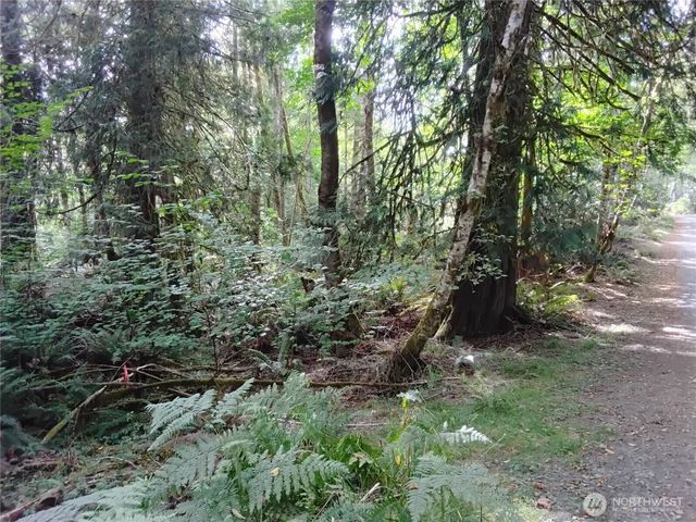 0 E Frontier Road, Grapeview, WA 98546