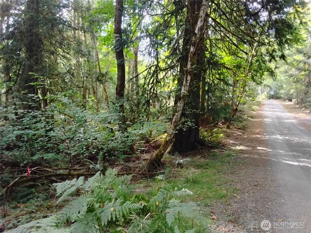 0 E Frontier Road, Grapeview, WA 98546