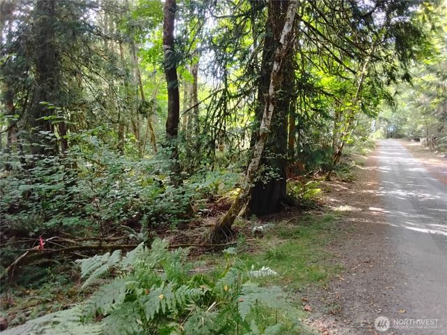 0 E Frontier Road, Grapeview, WA 98546