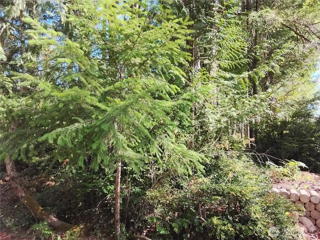 0 E Frontier Road, Grapeview, WA 98546