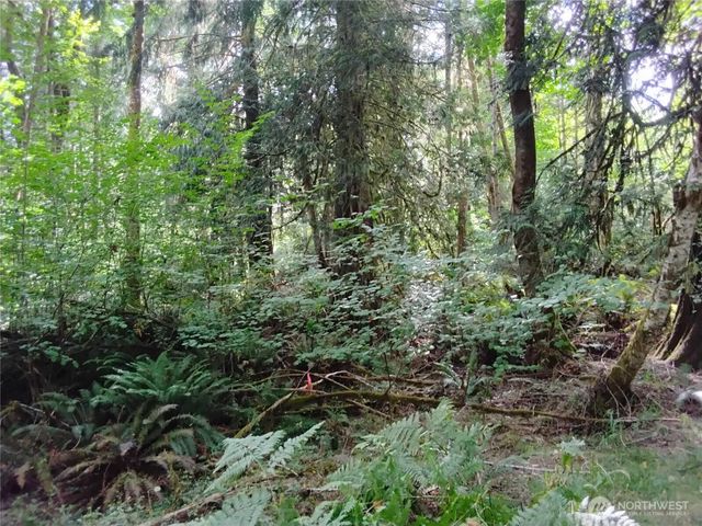 0 E Frontier Road, Grapeview, WA 98546