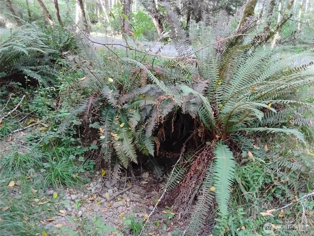 0 E Frontier Road, Grapeview, WA 98546