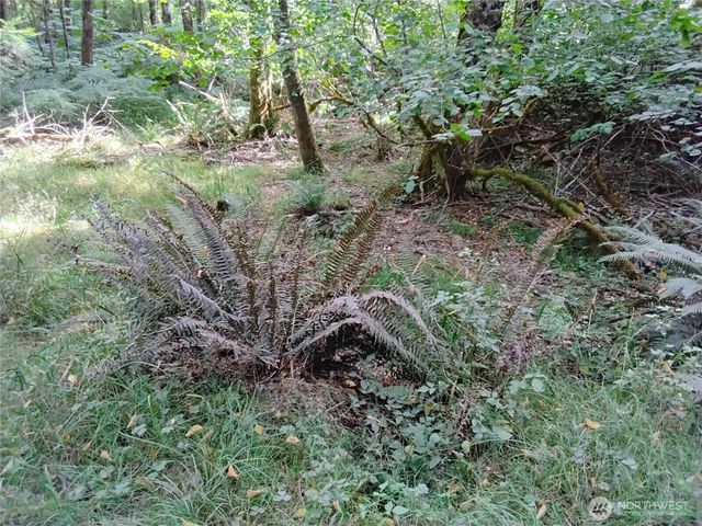 0 E Frontier Road, Grapeview, WA 98546