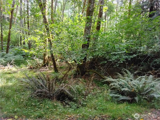 0 E Frontier Road, Grapeview, WA 98546