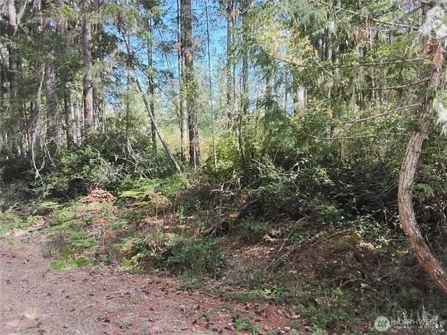 0 E Frontier Road, Grapeview, WA 98546