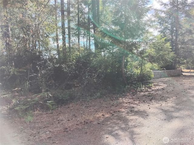 0 E Frontier Road, Grapeview, WA 98546