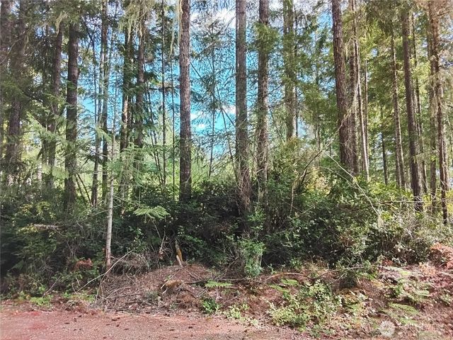0 E Frontier Road, Grapeview, WA 98546