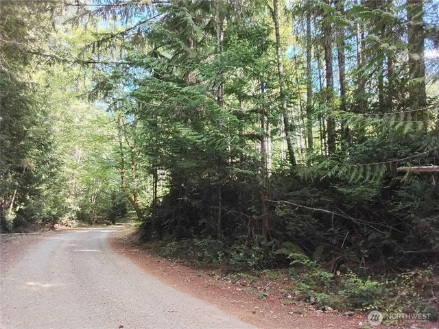 0 E Frontier Road, Grapeview, WA 98546