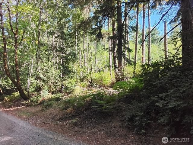 0 E Frontier Road, Grapeview, WA 98546