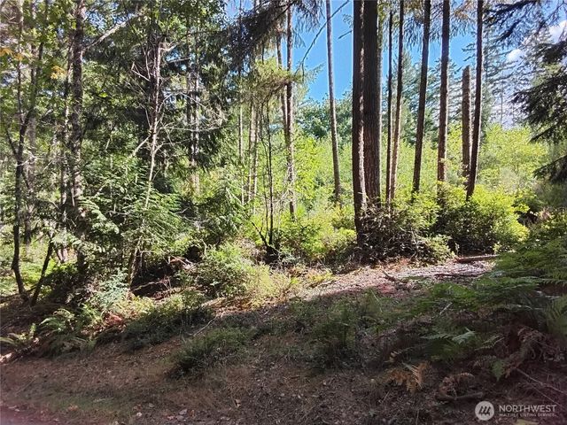 0 E Frontier Road, Grapeview, WA 98546