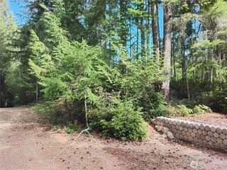 0 E Frontier Road, Grapeview, WA 98546