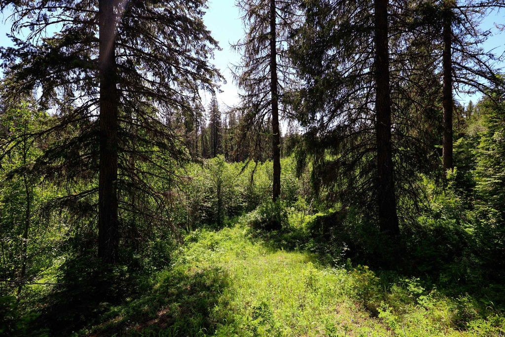 14 ElK Rd, Newport, WA 99156 photo 12