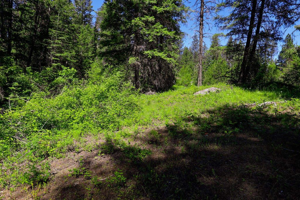 14 ElK Rd, Newport, WA 99156 photo 13