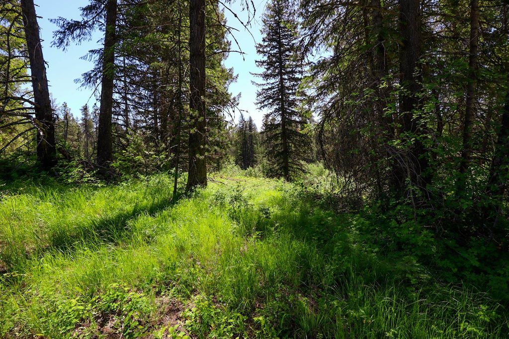 14 ElK Rd, Newport, WA 99156 photo 4