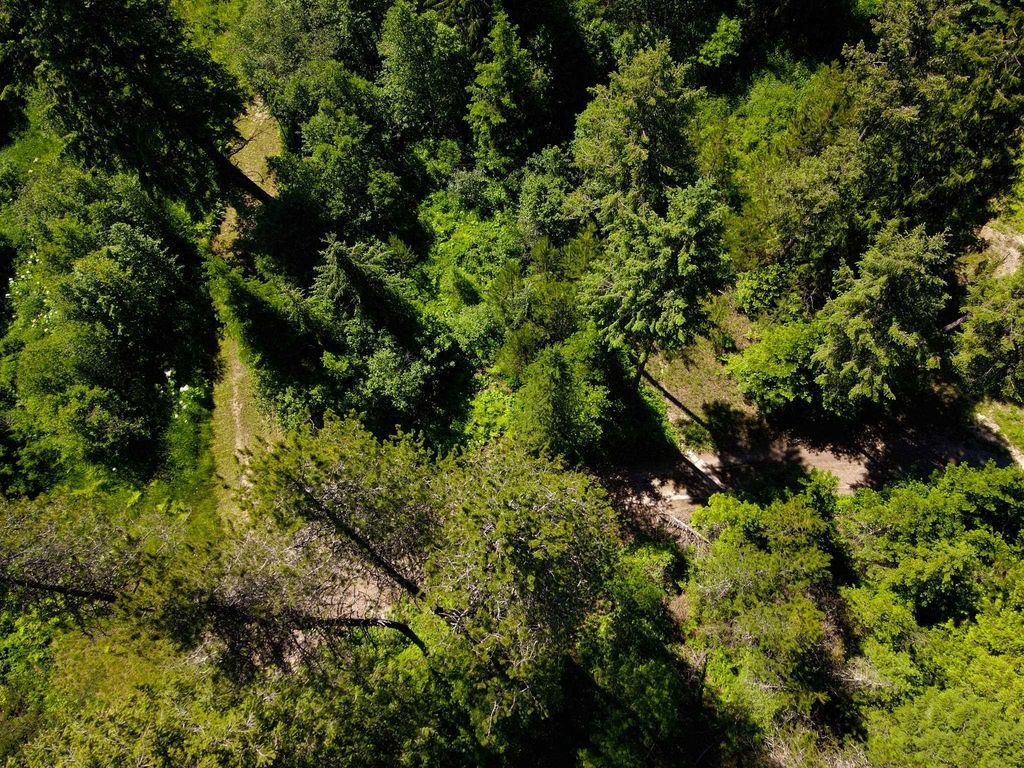 14 ElK Rd, Newport, WA 99156 photo 7