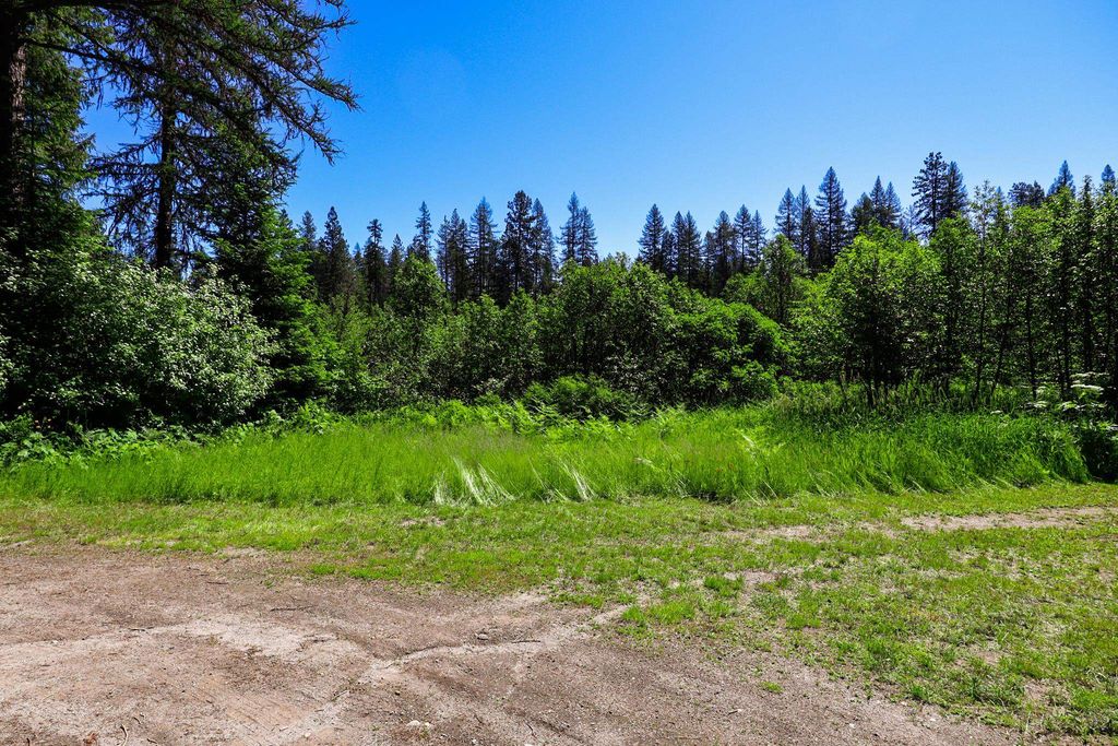 14 ElK Rd, Newport, WA 99156 photo 9