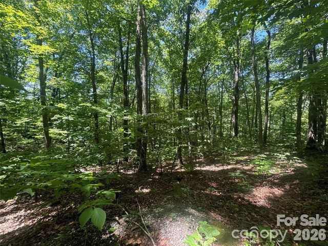 165 N Poplar Drive, Lake Lure, NC 28746