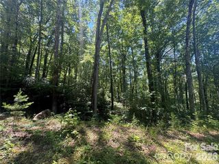165 N Poplar Drive, Lake Lure, NC 28746