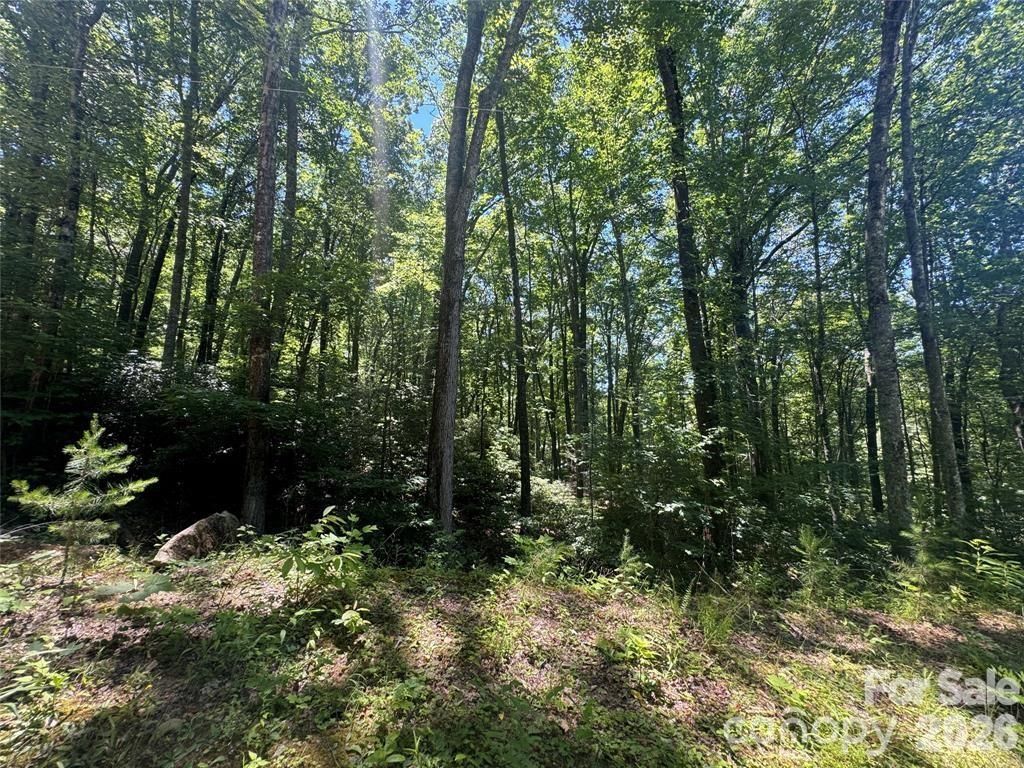 165 N Poplar Drive, Lake Lure, NC 28746