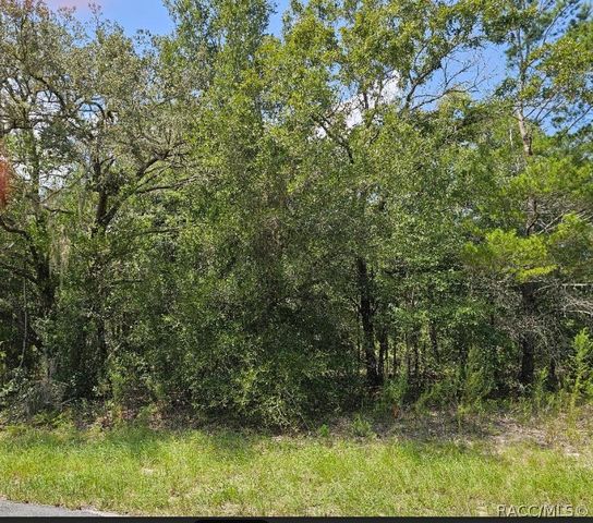 1368 W Evergreen Drive, Dunnellon, FL 34434