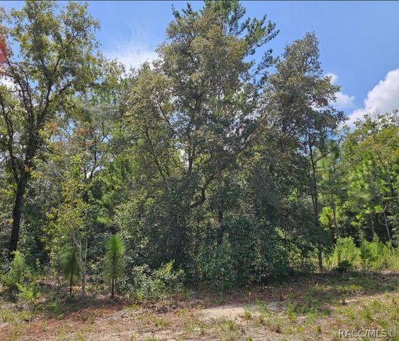 1368 W Evergreen Drive, Dunnellon, FL 34434