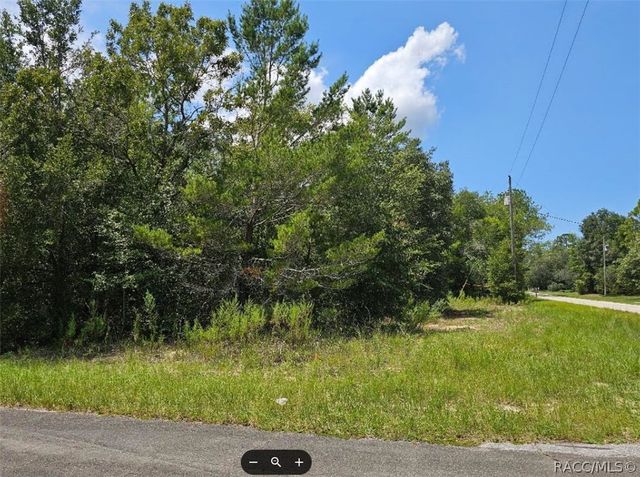 1368 W Evergreen Drive, Dunnellon, FL 34434